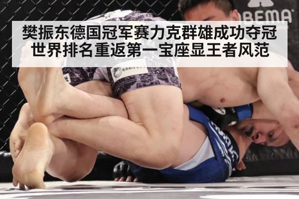 樊振东德国冠军赛力克群雄成功夺冠世界排名重返第一宝座显王者风范
