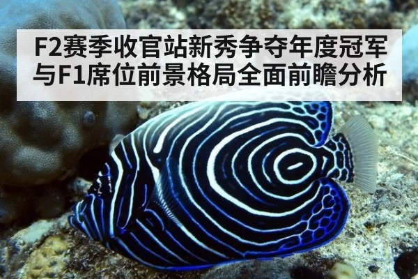 F2赛季收官站新秀争夺年度冠军与F1席位前景格局全面前瞻分析